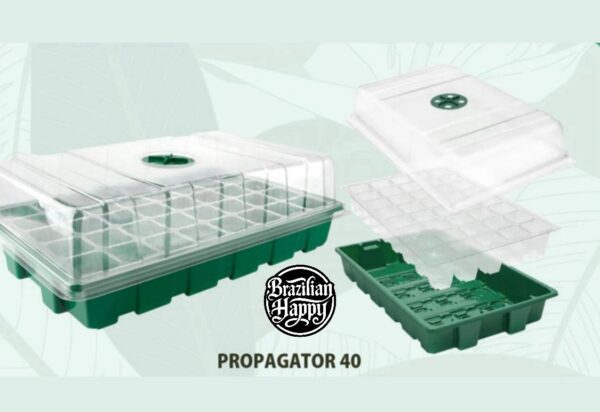 Imagem do WhatsApp de 2025-07-16 à(s) 16.19.11_b0b2fa5c