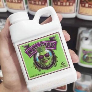 BIG BUD 250ML - Imagem 3