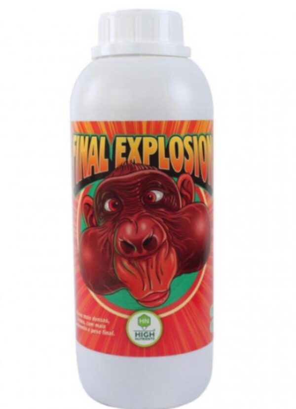 Imagem do WhatsApp de 2025-07-23 à(s) 14.06.12_86b14caa