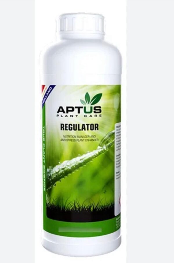 Imagem do WhatsApp de 2025-07-24 à(s) 09.02.43_704220cd