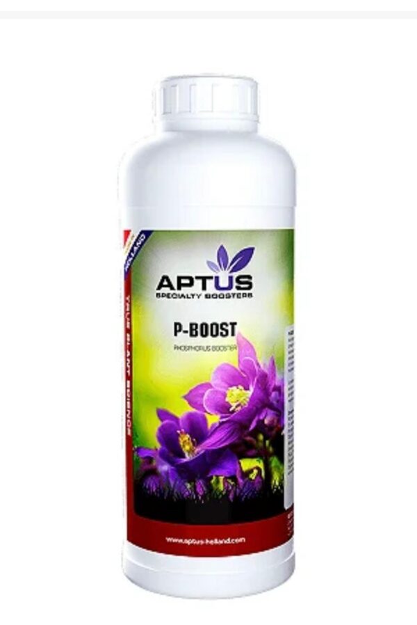 Imagem do WhatsApp de 2025-07-24 à(s) 10.01.11_182e0ce3