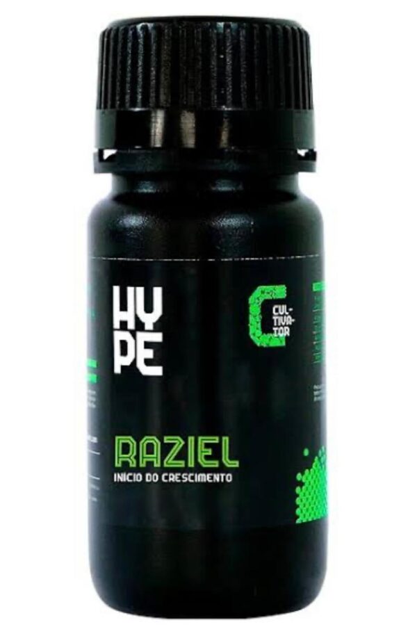 Imagem do WhatsApp de 2025-07-24 à(s) 11.05.42_bb6a7c98